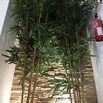 Apartman Casa Luna *