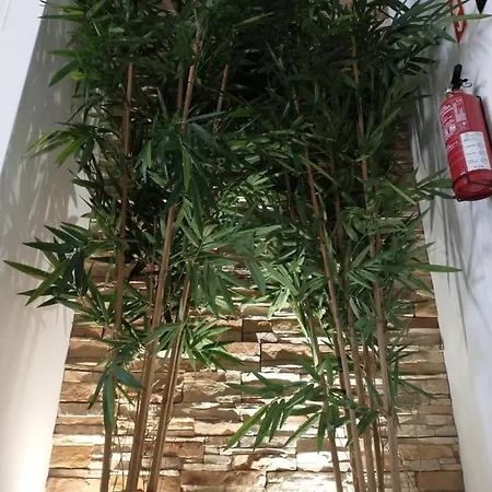 Apartamento Casa Luna *